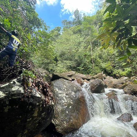 Rainforest Cabin เดนิยายา ภายนอก รูปภาพ