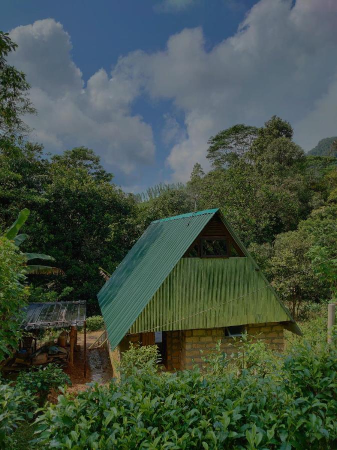 Rainforest Cabin เดนิยายา ภายนอก รูปภาพ