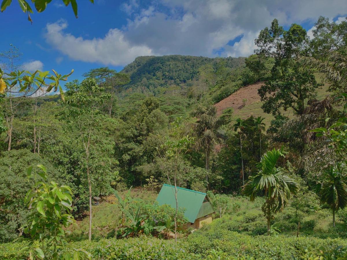 Rainforest Cabin เดนิยายา ภายนอก รูปภาพ
