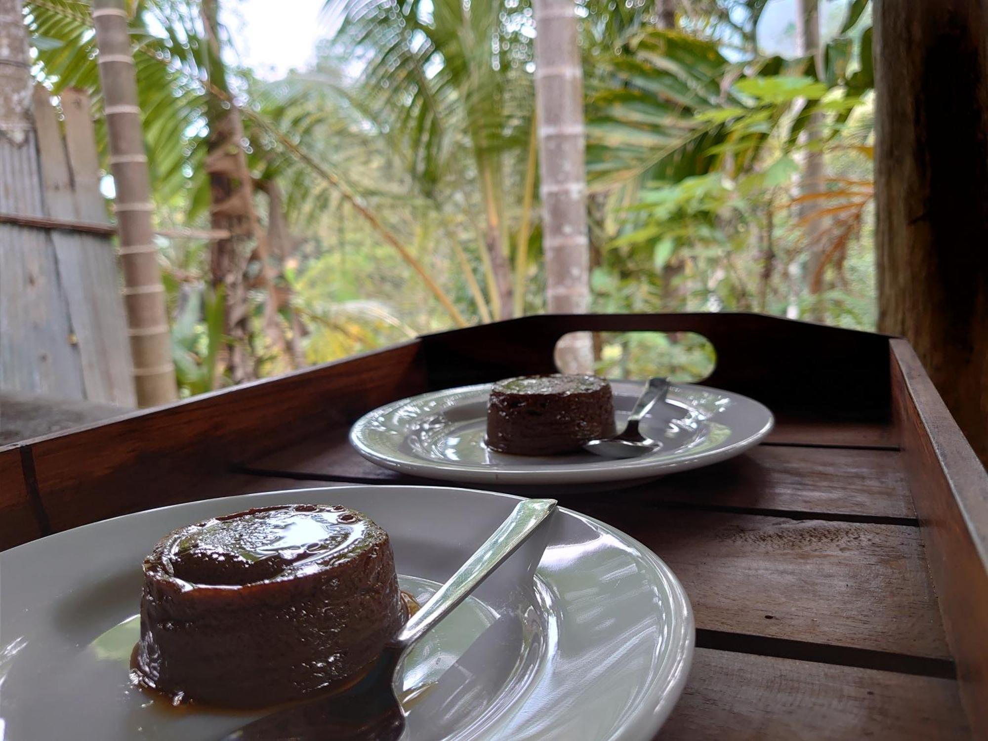 Rainforest Cabin เดนิยายา ภายนอก รูปภาพ