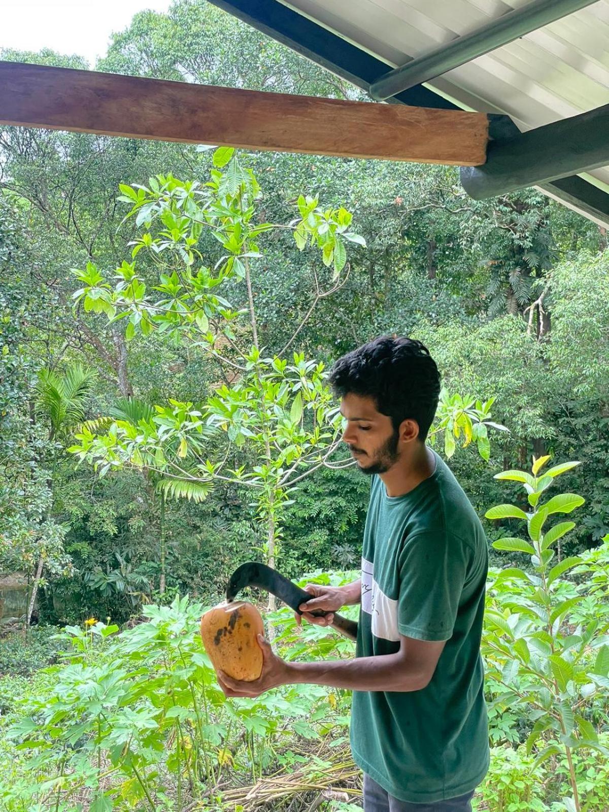 Rainforest Cabin เดนิยายา ภายนอก รูปภาพ