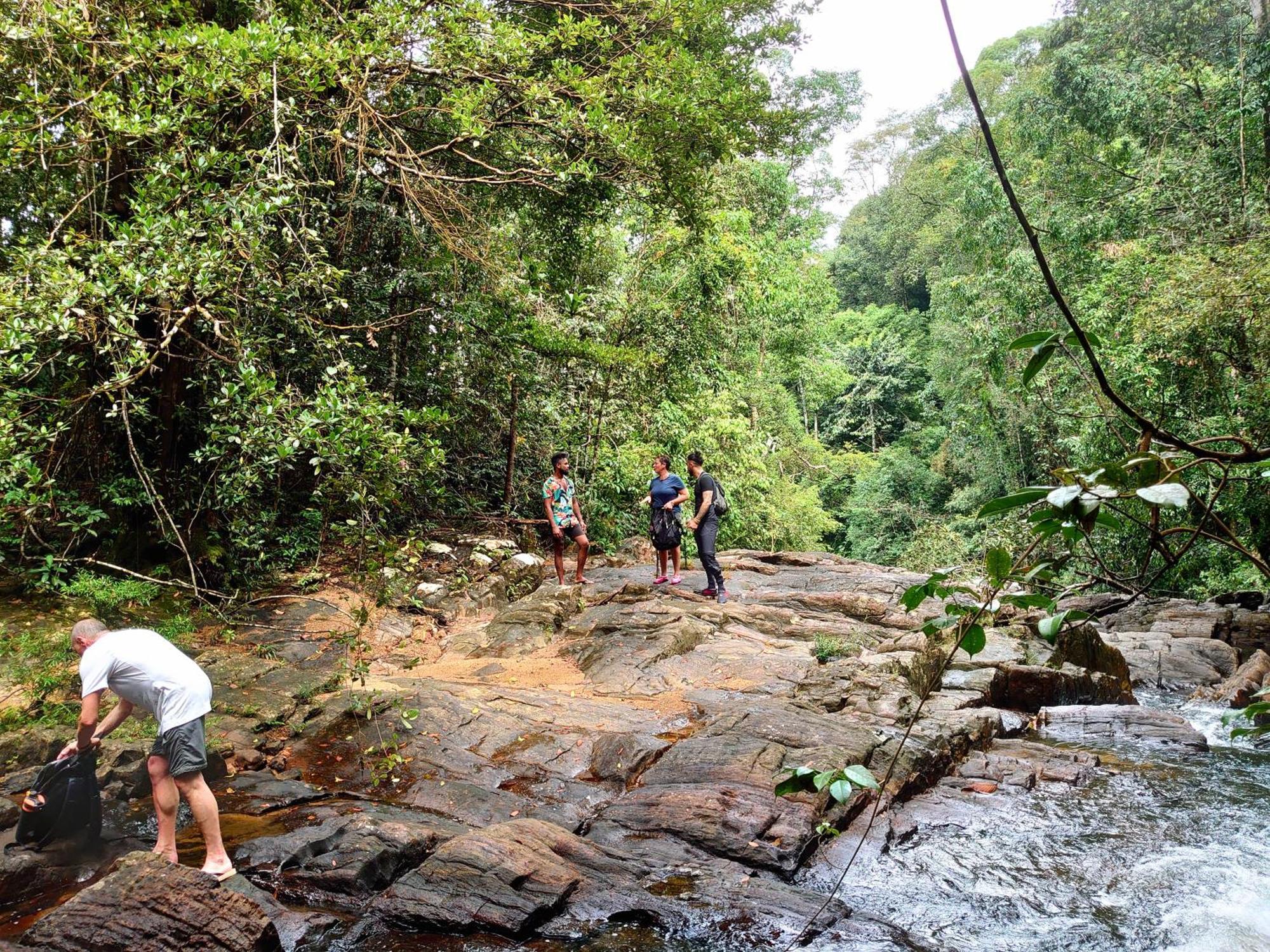Rainforest Cabin เดนิยายา ภายนอก รูปภาพ