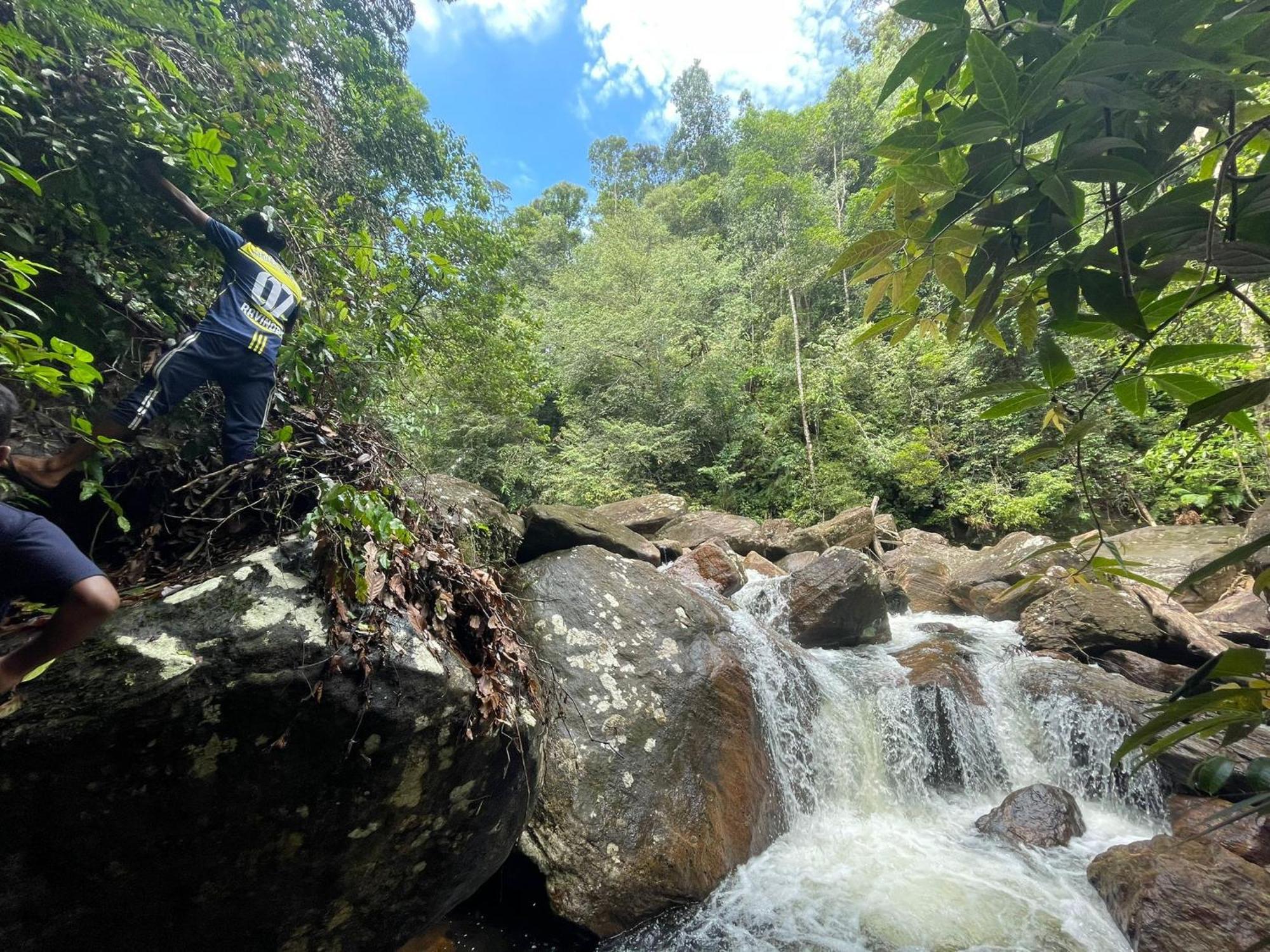 Rainforest Cabin เดนิยายา ภายนอก รูปภาพ