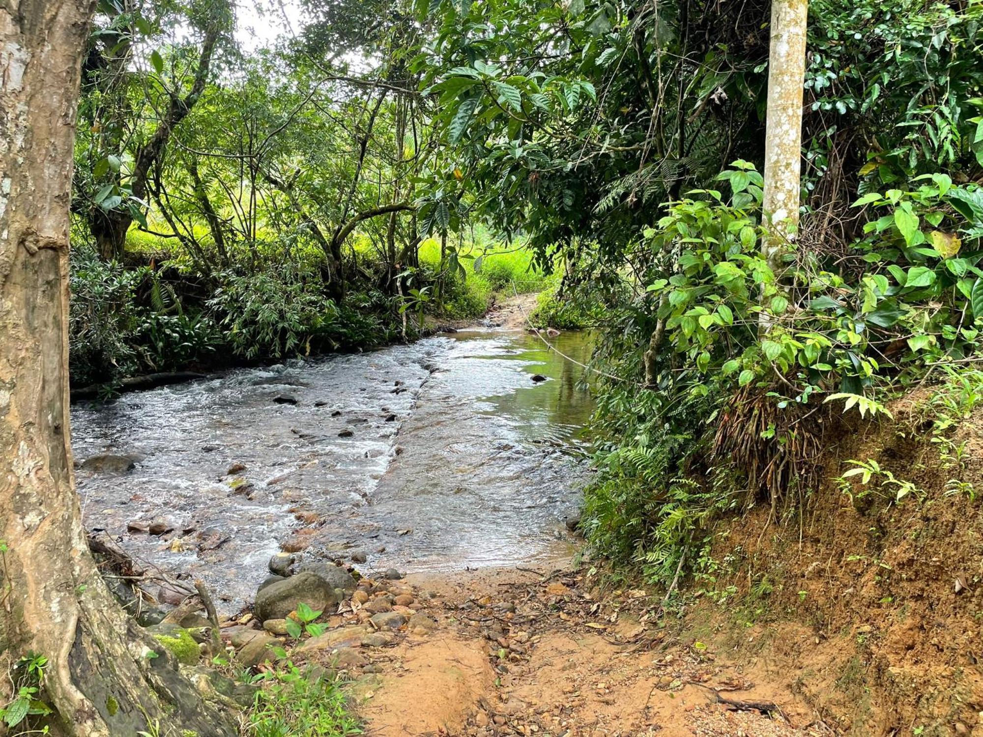 Rainforest Cabin เดนิยายา ภายนอก รูปภาพ