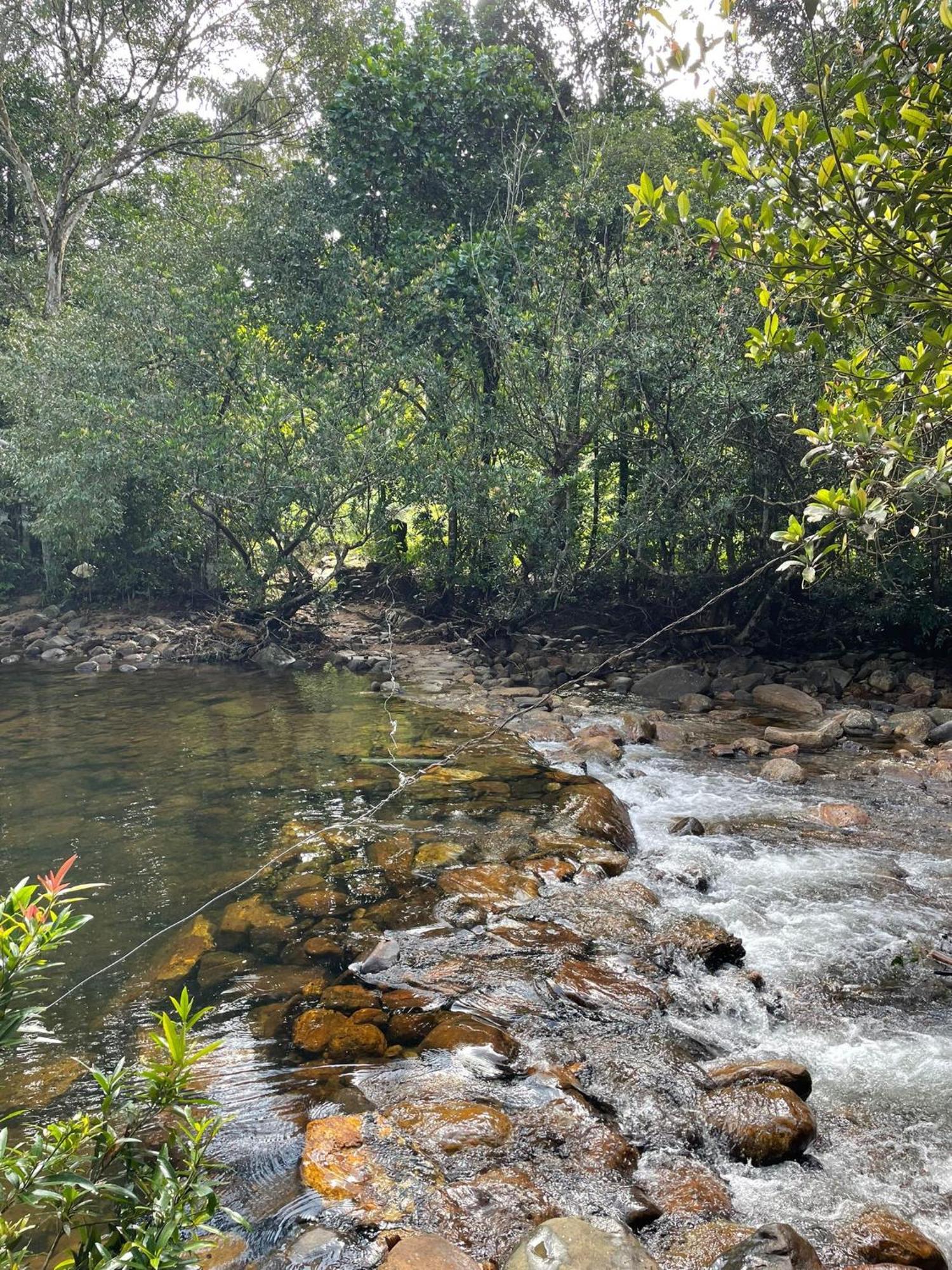 Rainforest Cabin เดนิยายา ภายนอก รูปภาพ
