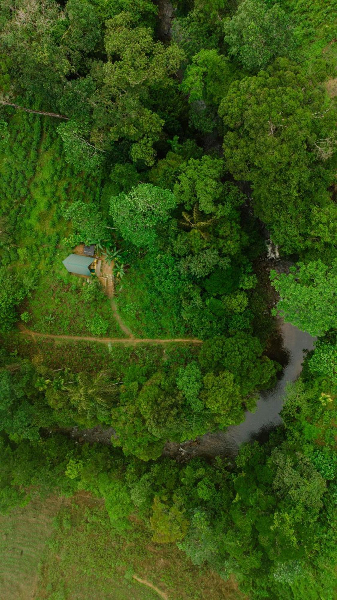 Rainforest Cabin เดนิยายา ภายนอก รูปภาพ