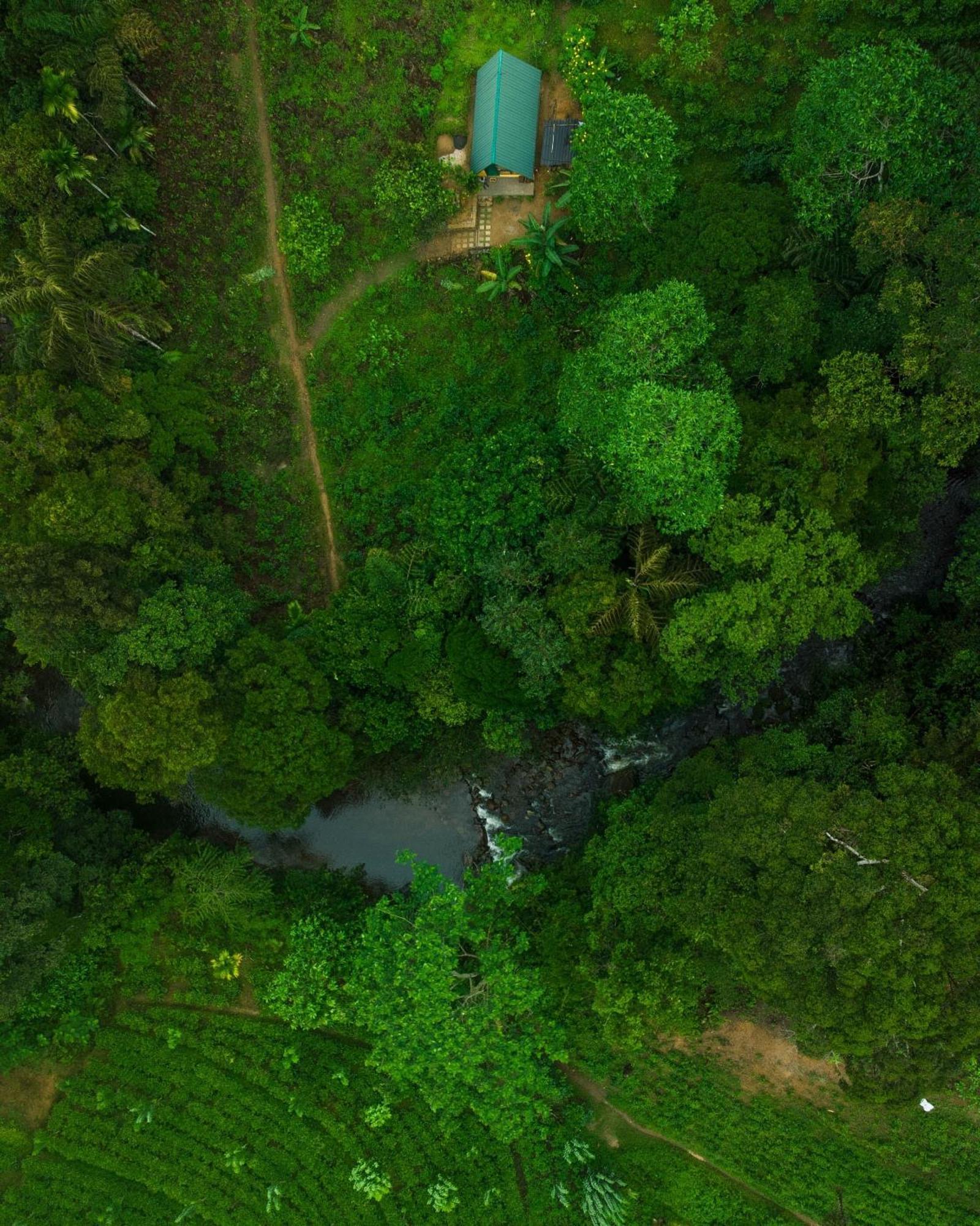Rainforest Cabin เดนิยายา ภายนอก รูปภาพ