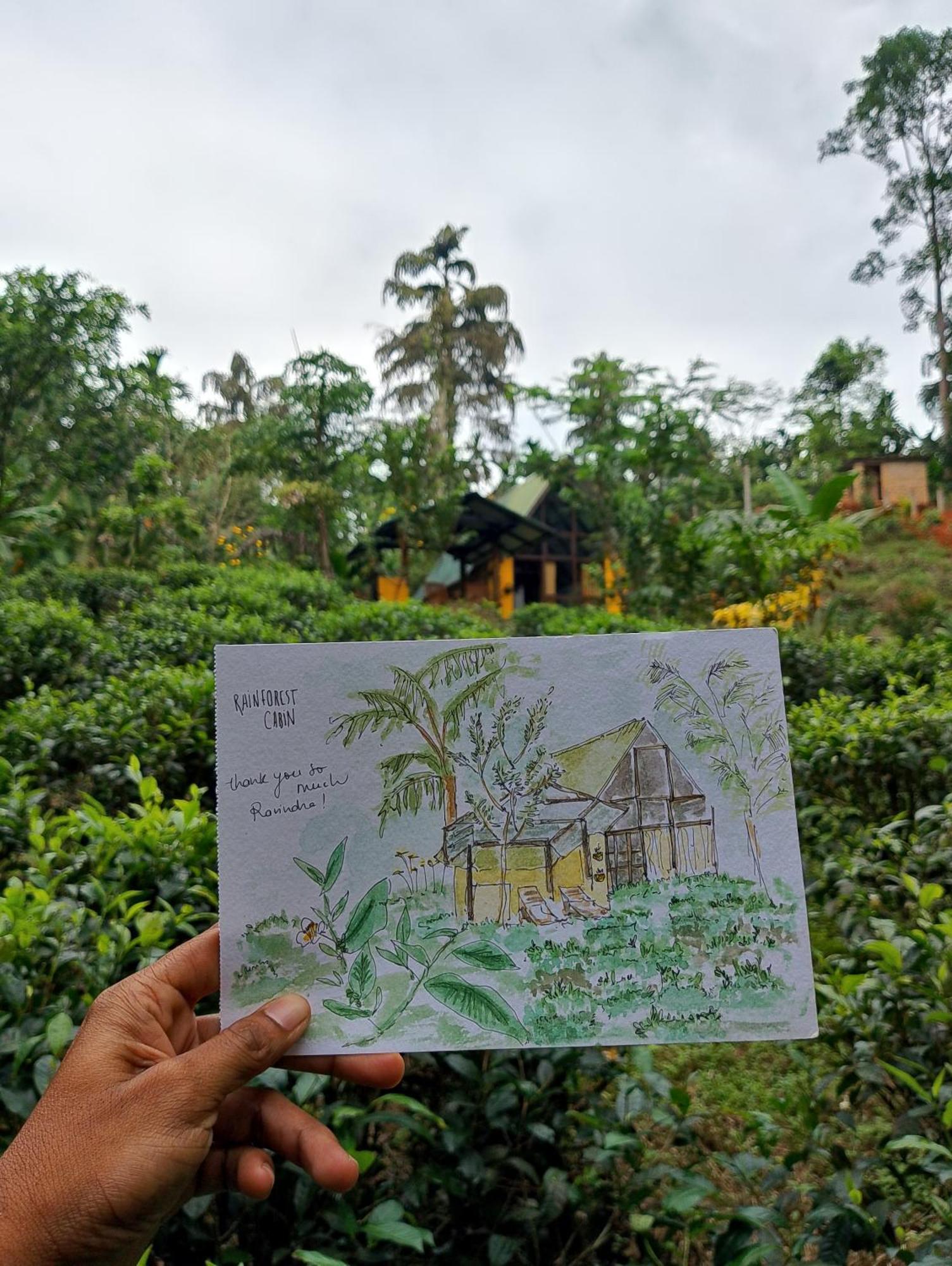 Rainforest Cabin เดนิยายา ภายนอก รูปภาพ