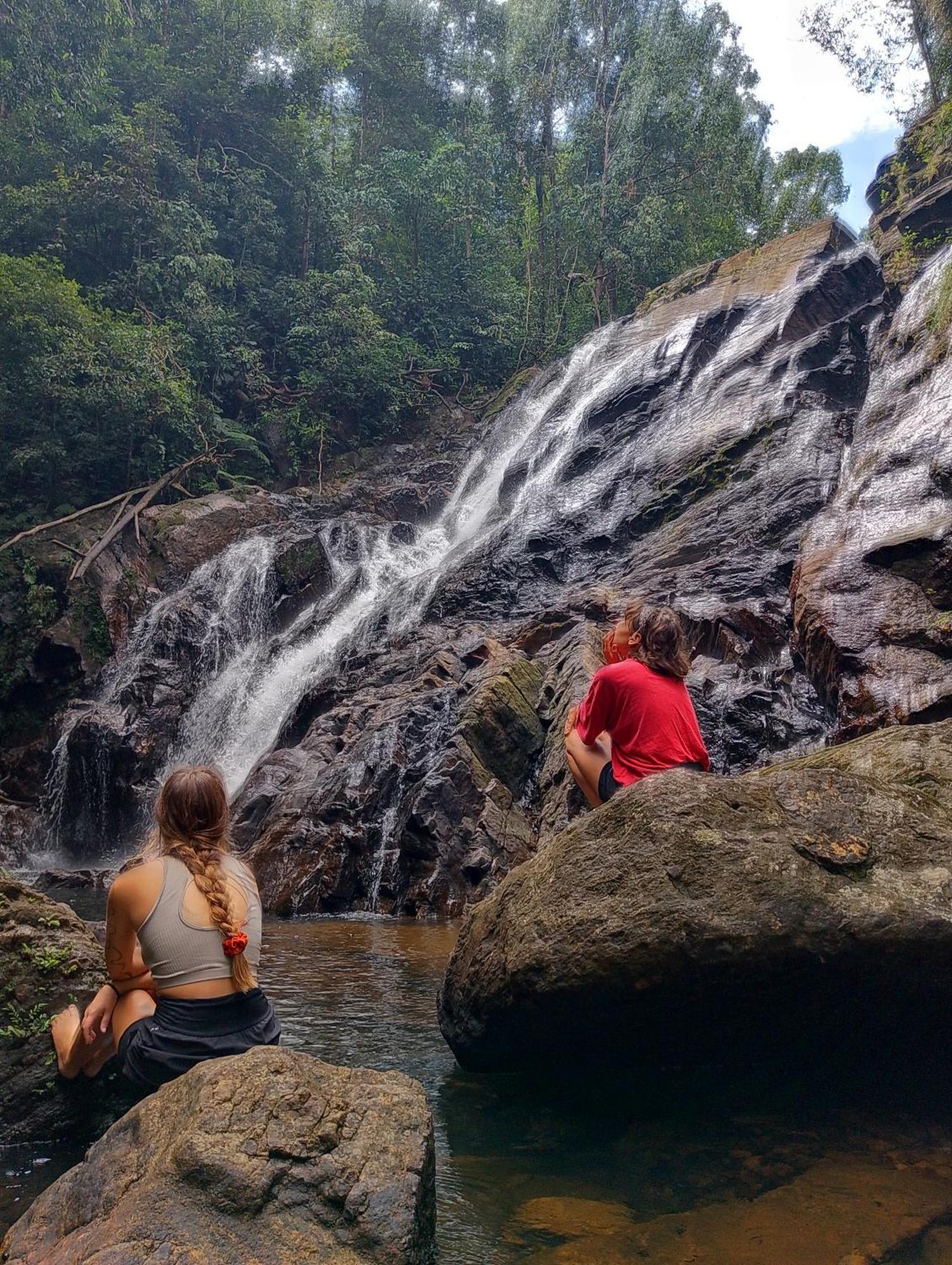 Rainforest Cabin เดนิยายา ภายนอก รูปภาพ