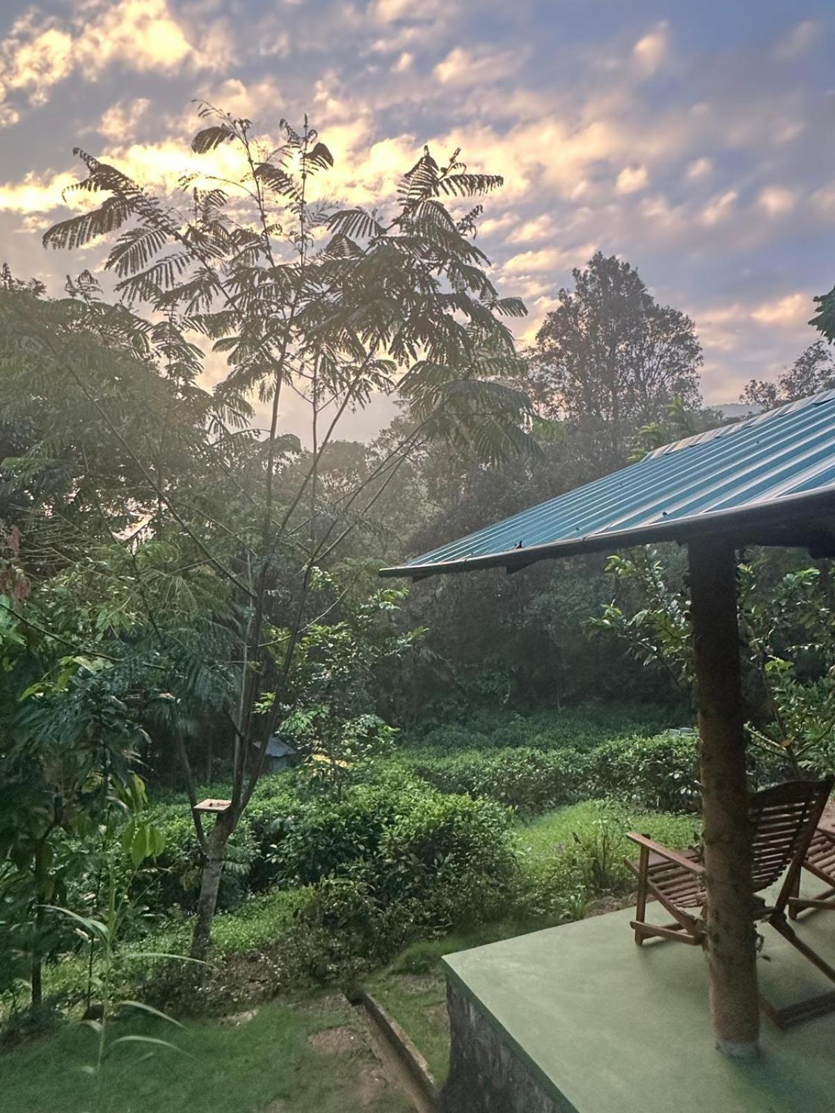 Rainforest Cabin เดนิยายา ภายนอก รูปภาพ