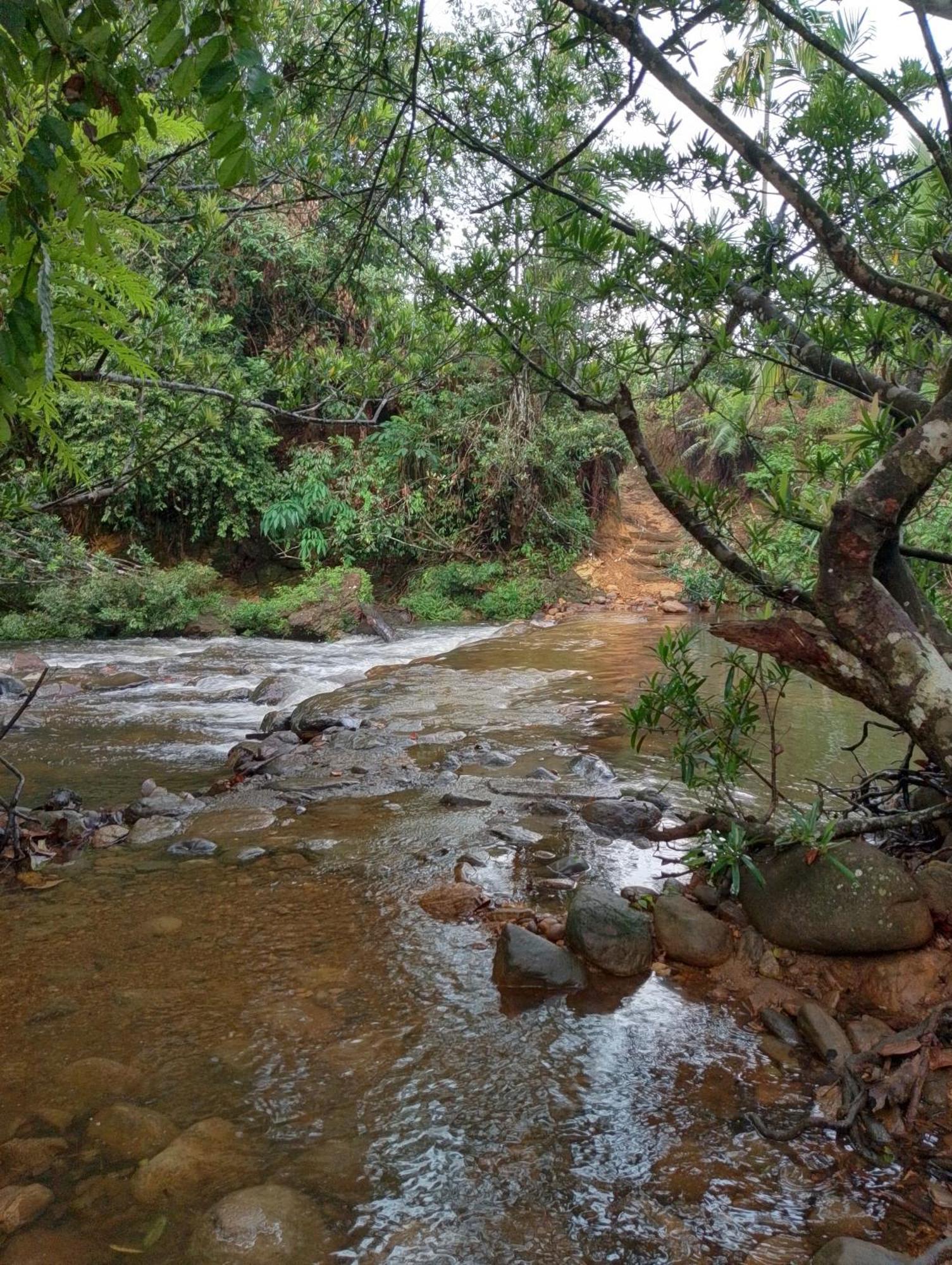 Rainforest Cabin เดนิยายา ภายนอก รูปภาพ